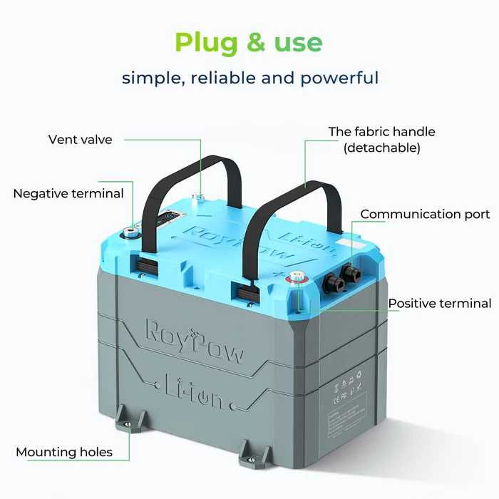 ROYPOW - Acumulatori Premium Lifepo4 12 V 200 AH