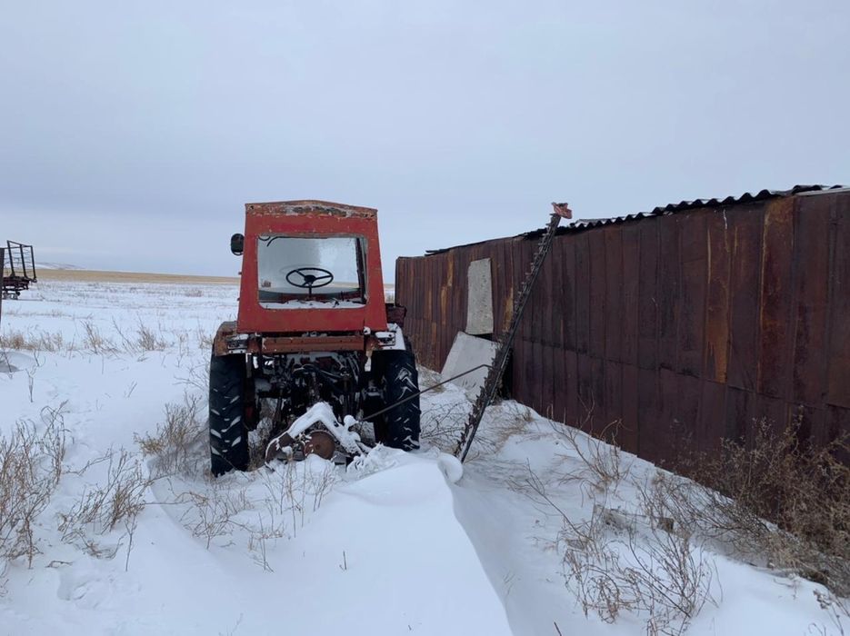 Трактор.Т-25.Обмен на КРС и ОВЕЦ