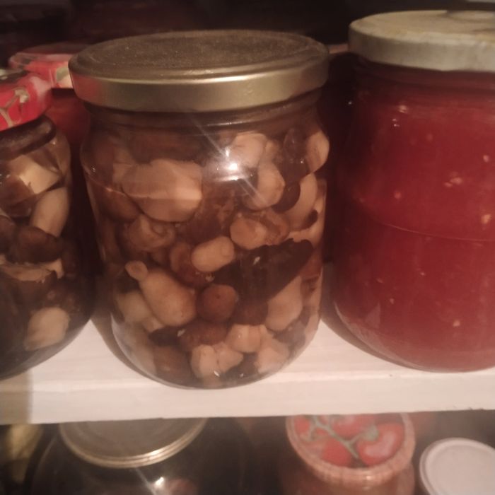 Продам грибочки этого года