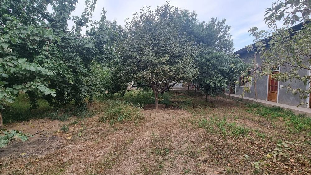 Участка сотилади 6 сотих 4 хона ошхона хаммом битган