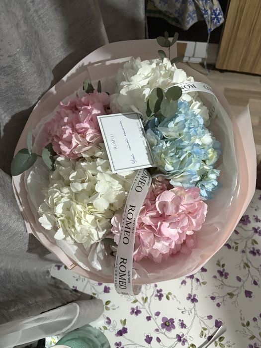 Цветы гортензия срооочно