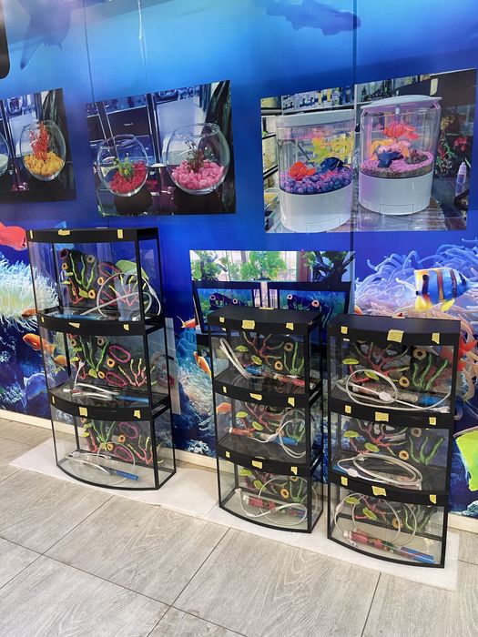 Akvarium yengi sifatli