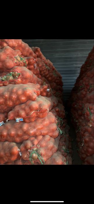 Лук отборный в большом объеме