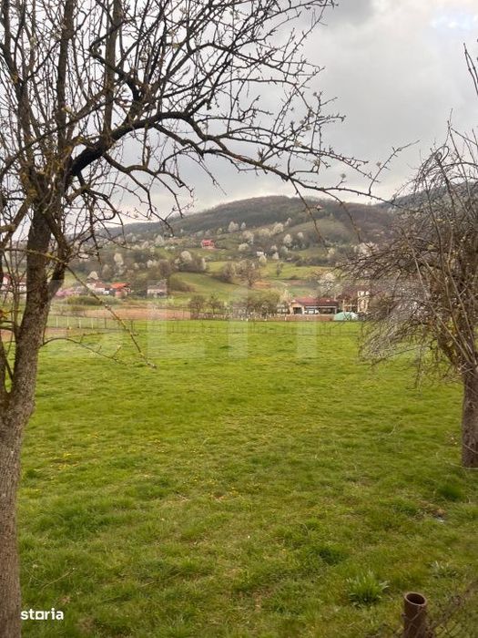 Teren de vanzare 1200 mp – Șuncuius, zona cabane – ideal casa de
