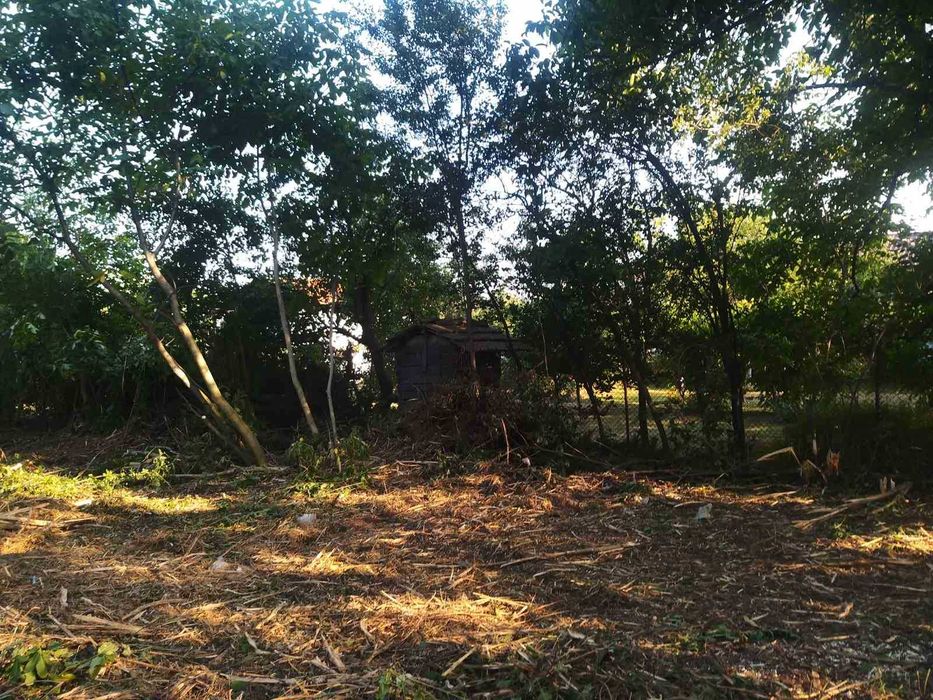 Продава се Парцел в с. Гълъбник, Област Перник - 2000 кв.м за 35 €/кв.м - Снимка #2