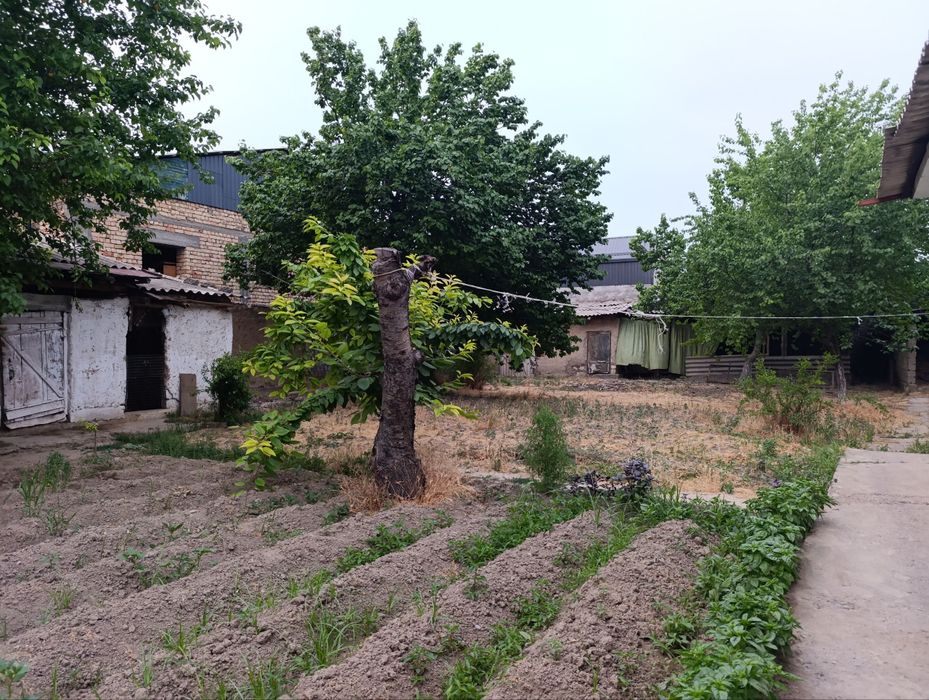 Yer hisobida uy sotiladi sotixi 25mingdan