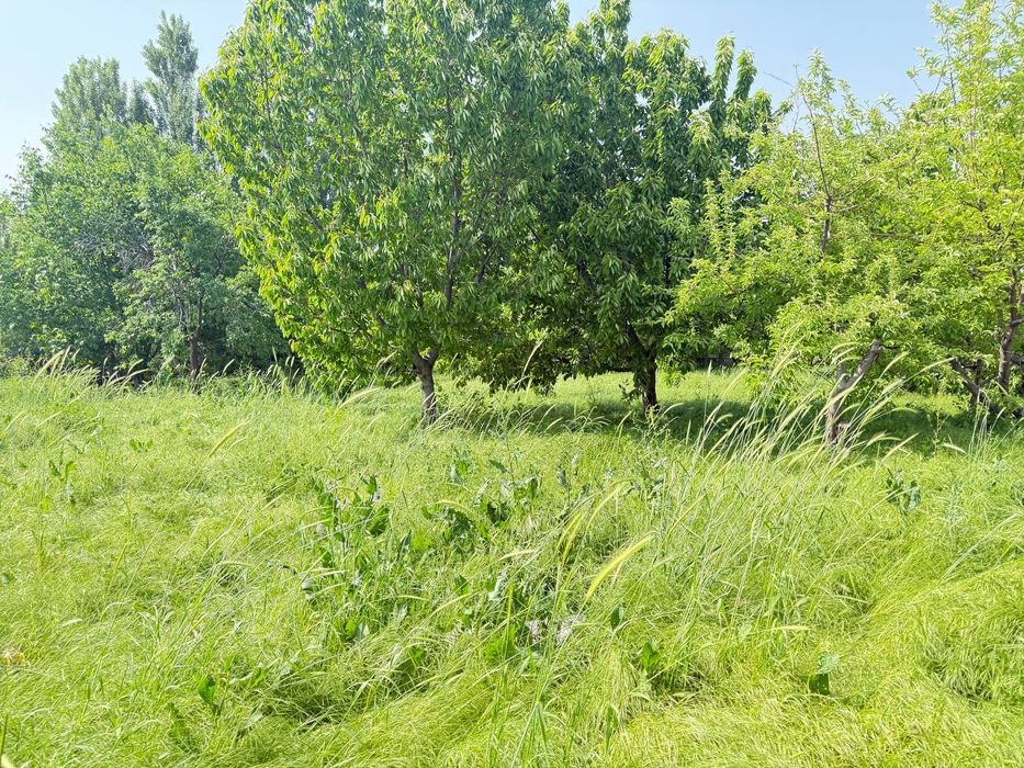 Yer uchaska imorat yoq