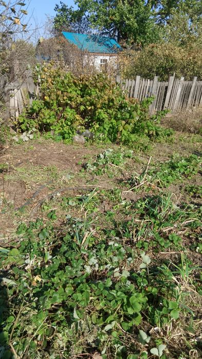 Продам дачу ООСЛ притобольский