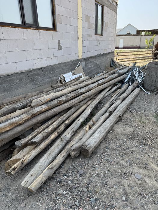 Дерева кругляк длинный