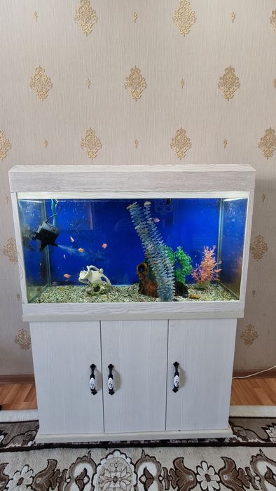 Аквариум сатылады жаңа. Продам аквариум новый