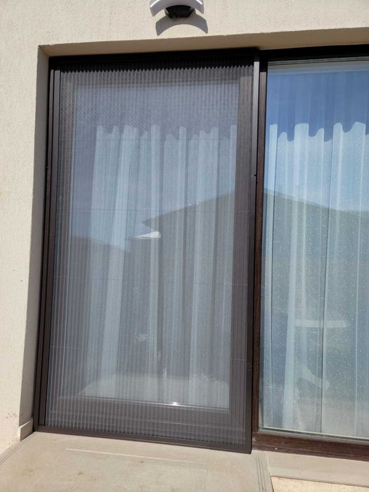 Plase tantari pe balamale București