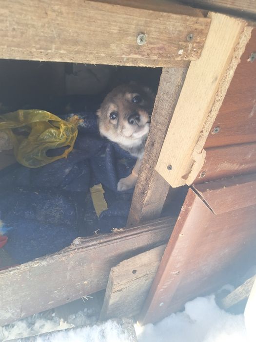 Пристраиваеться малышь!