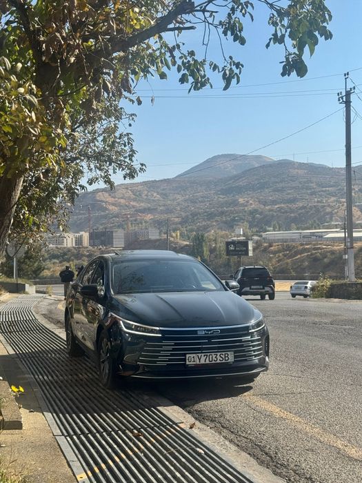 BYD CHAZOR 2 DMI55 с люком