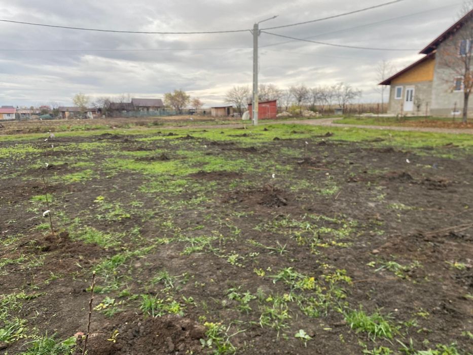 Plantăm livezi, curatare, stropiri!