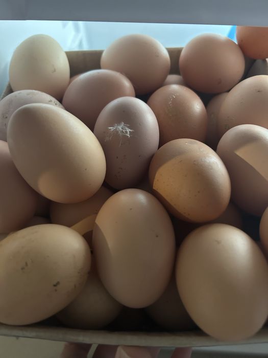 Oua praspete de tara