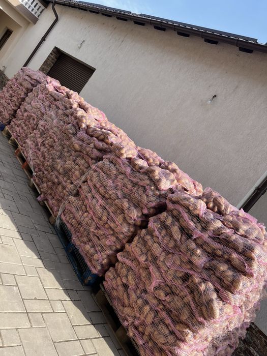 Vand cartofi noi Grecia