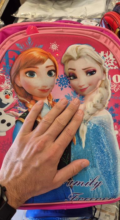 Ghiozdan copii Ana si Elsa, Frozen, roz, 2 compartimente