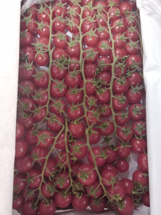 Bozor zakazga oborib beramiz