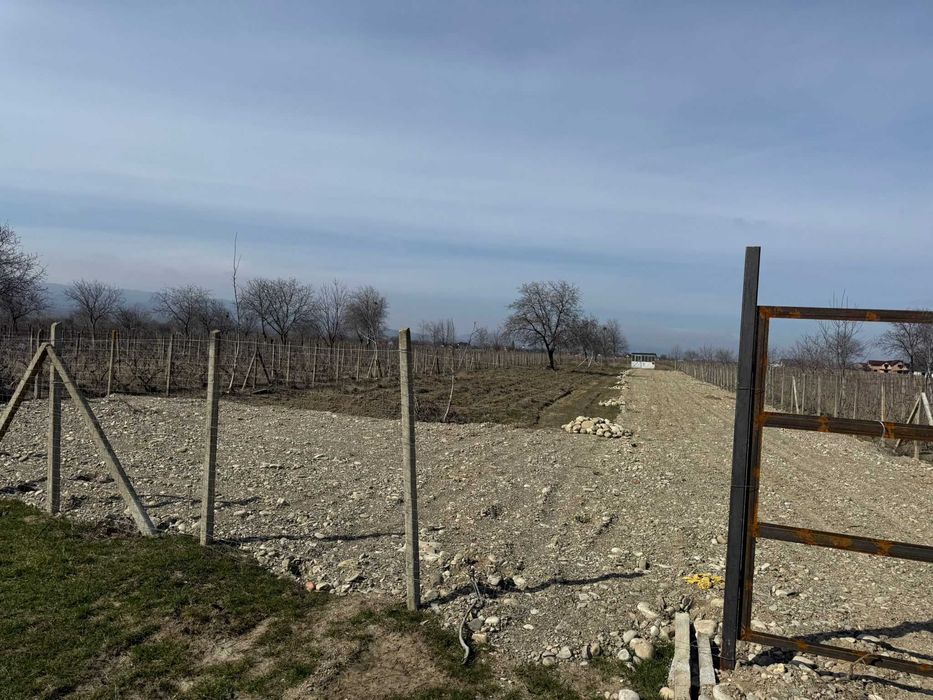 Vand Teren intravilan