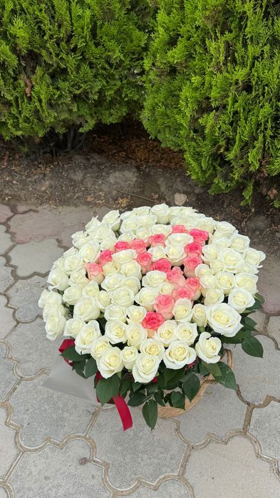 101 Роза цветы свежие
