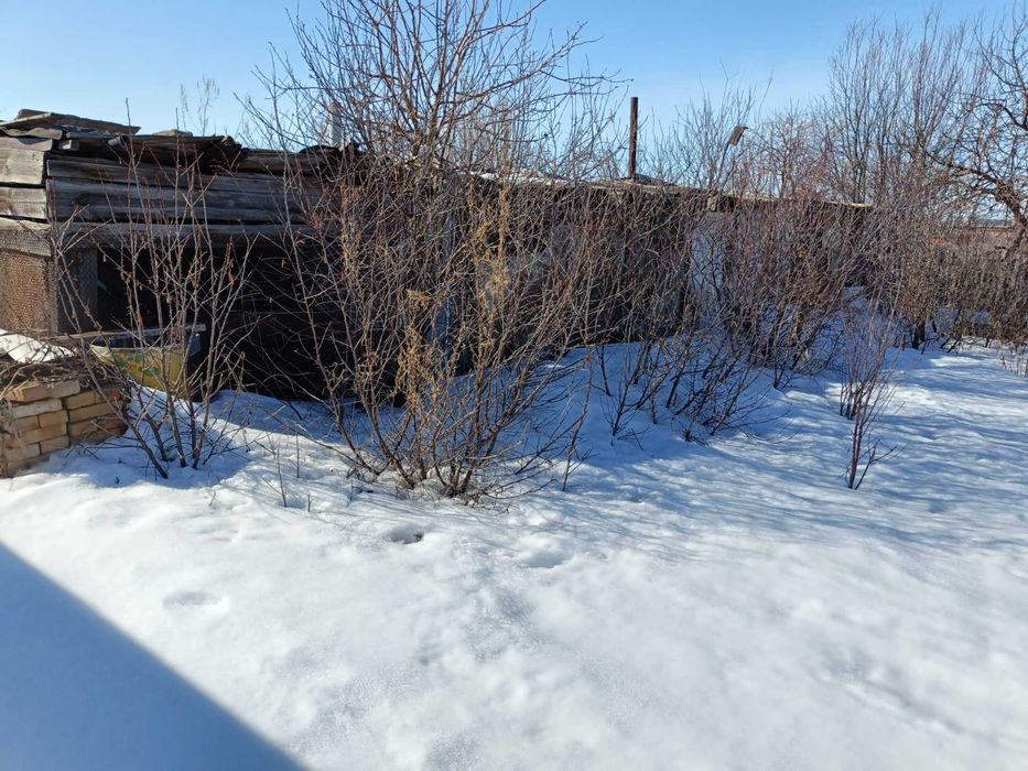 Дача в городе, 7 линия