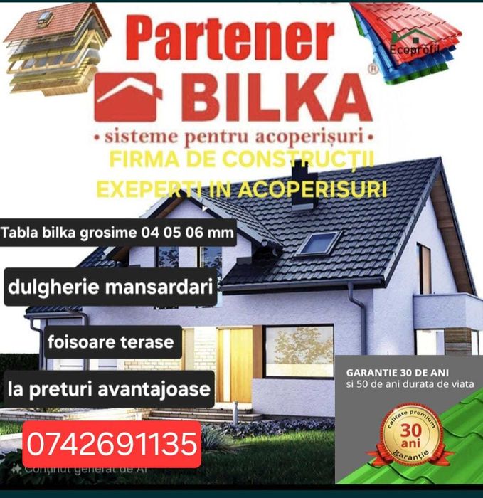 Reparatii ,Montaj - Acoperișuri Profesionale | Preț Avantajos