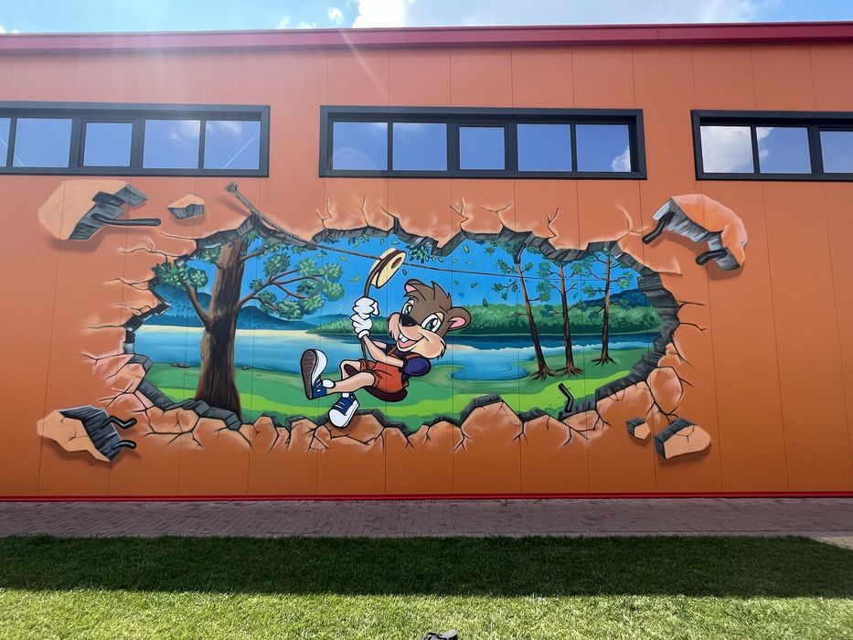 Pictura pe pereti, pictura murala, graffiti