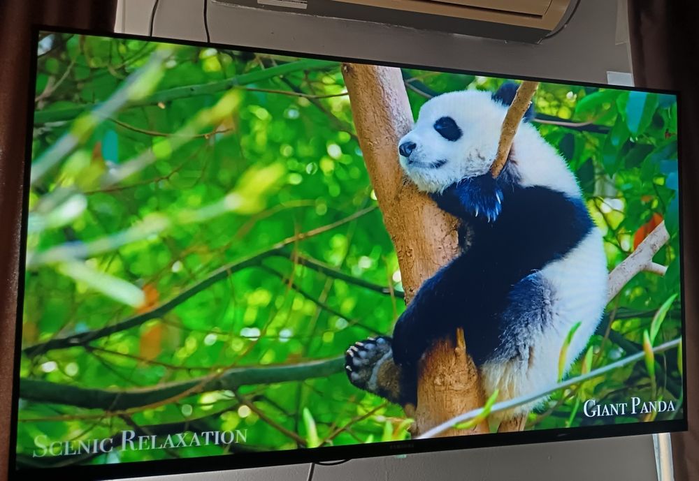 Телевизор смарт 109 см