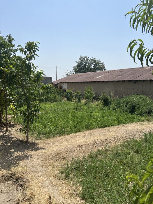 Дродаётся дача в стороне племсовхоза…