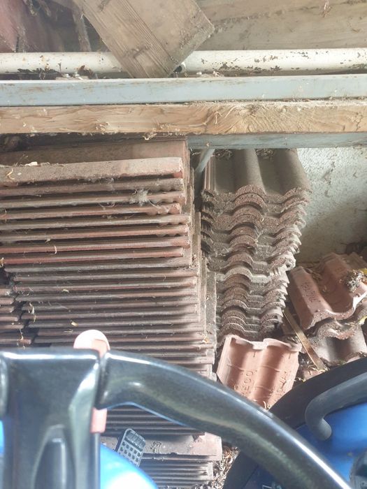 Car cu boi autentic.Tigle Elpreco