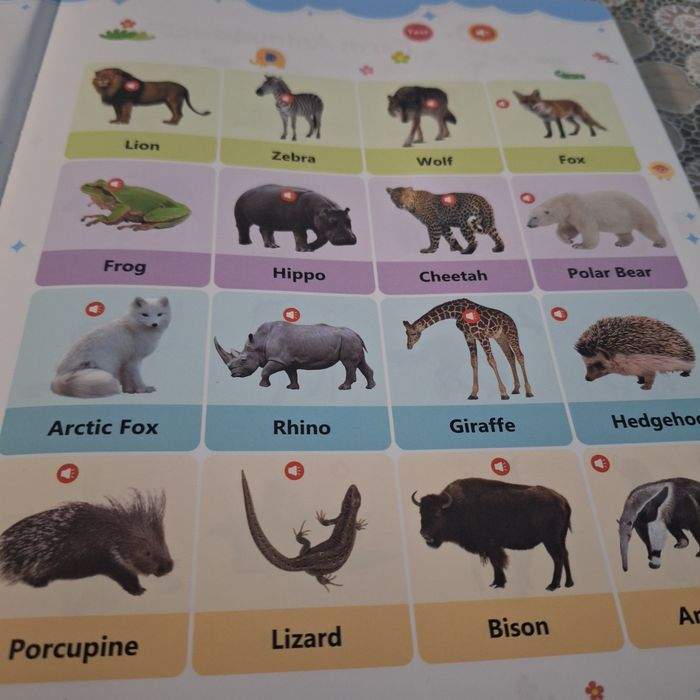 Книжка за първи стъпки в английският език