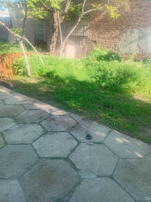 Вырву траву в ручную