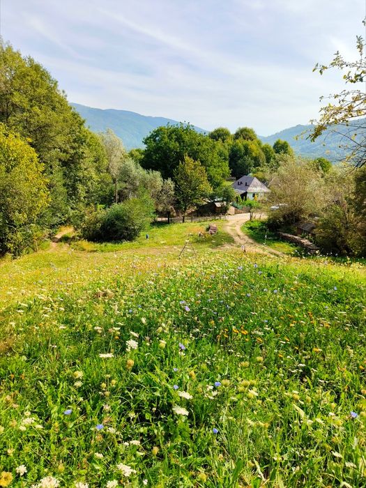 Teren 3.800 mp - Slatina, Nucsoara