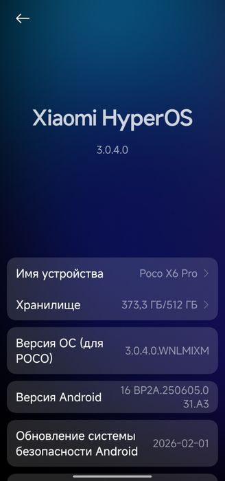 Poco X6 PRO 12/512