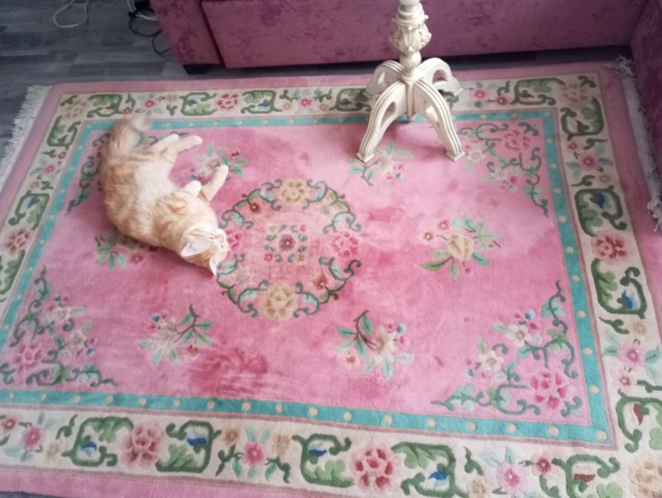 РОСКОШНЫЙ, привезли из Вьетнама из 100% НОВОЗЕЛАНДСКОЙ шерсти ,2м/1м40