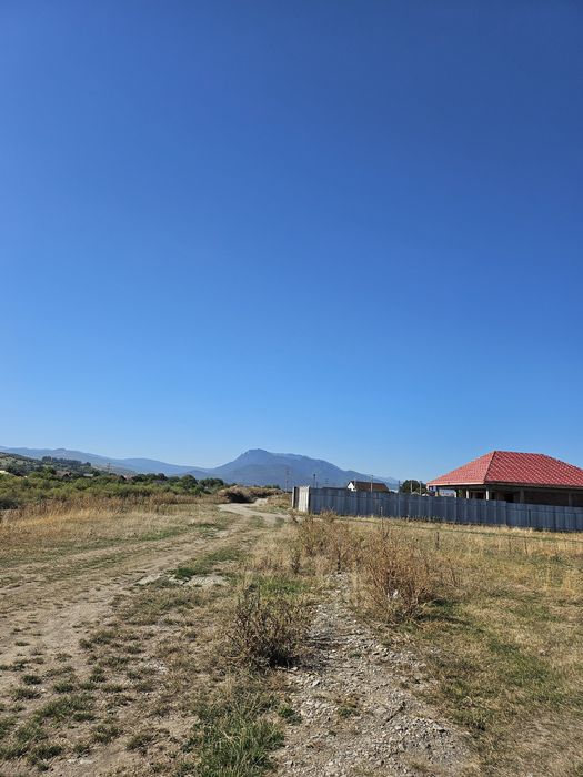 Teren intravilan Cărpiniș - Vedere 4