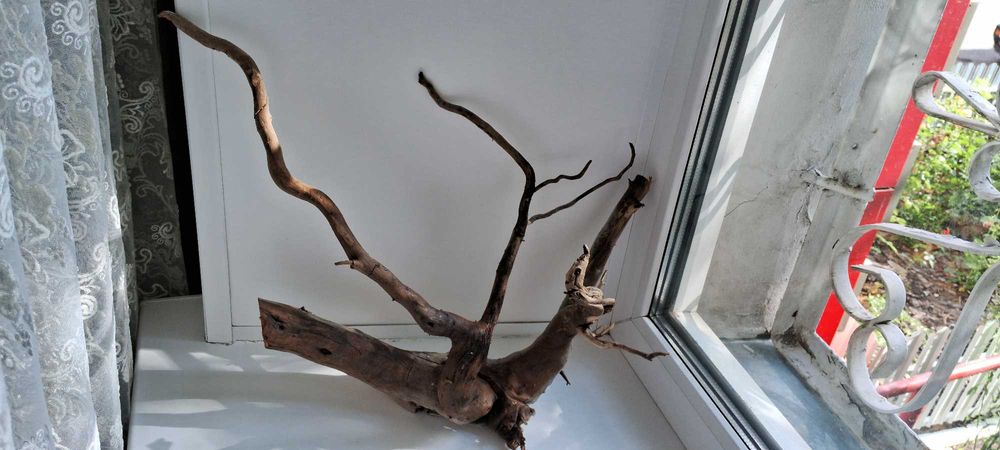 Коряги для аквариума