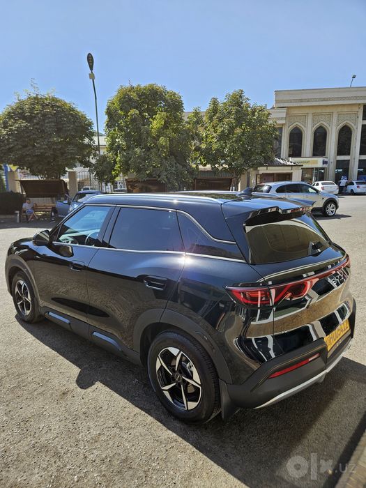 Byd Yuan up 2025