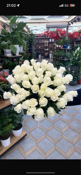 Гул,букет,роза,гул,гүл