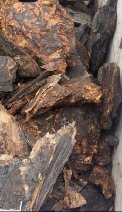 Cărbune lignit pentru centrale termice