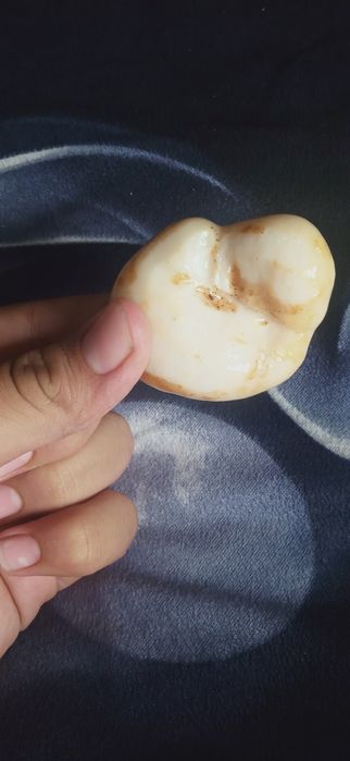 Солёное грибы вкусный и салат можно сделать