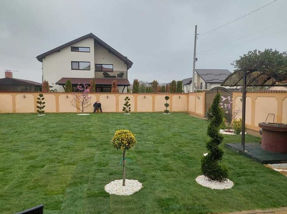 Gazon Natural Aclimatizat – Livrare în Toată Țara și Montaj
