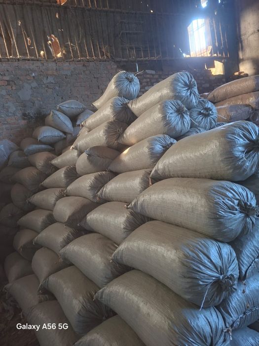 Опилки в мешках!! Стручковые, свежие, сухие! Из березы и тополя