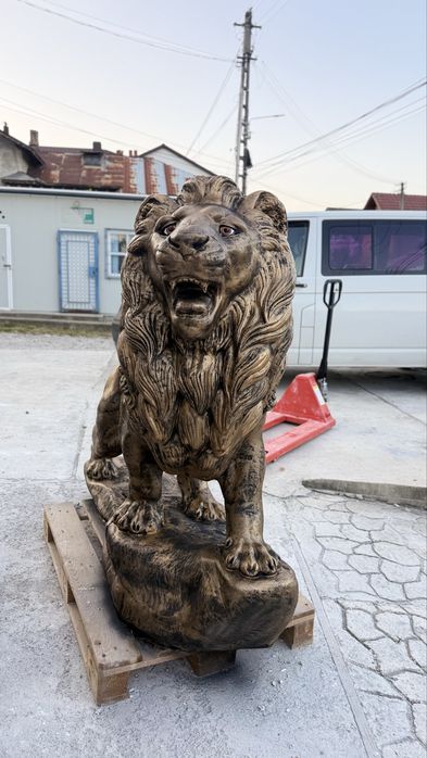 Leii din betin pentru curtea ta !