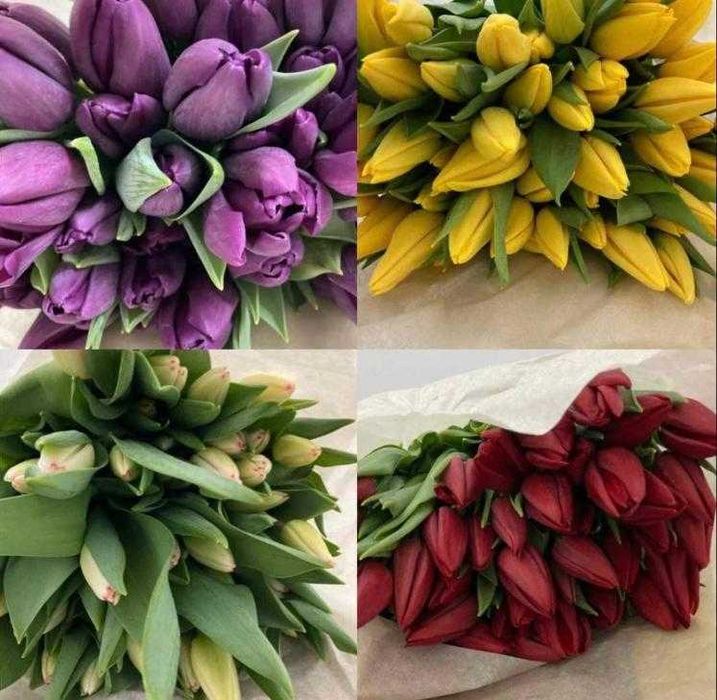 Тюльпаны Склад ОПТОМ Голландия и Беларусь