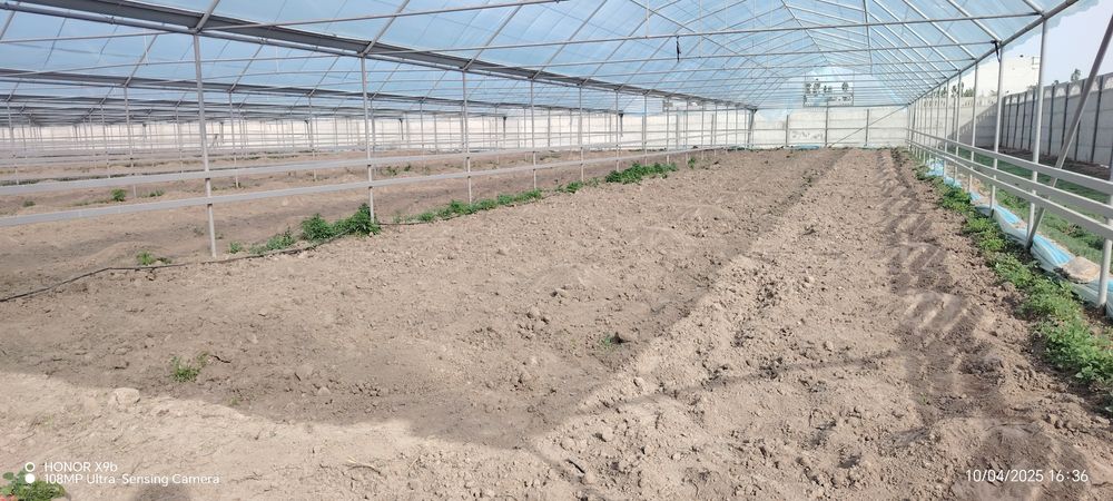 Issiqxona, parniklar, teplitsalar arzon va sifatli turda qurib beramiz