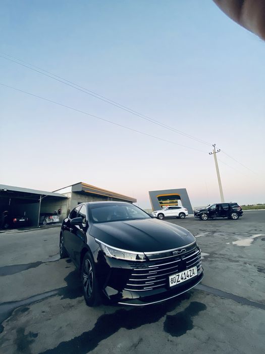 Byd chazor qora 2023 yil