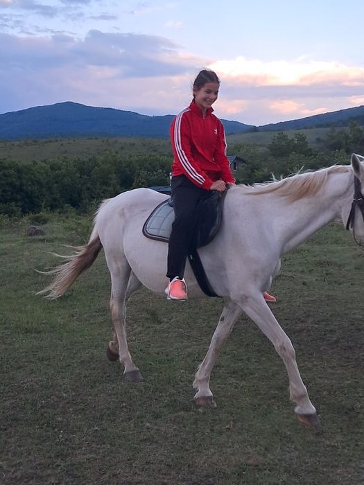 Iapa lipitan spre vânzare