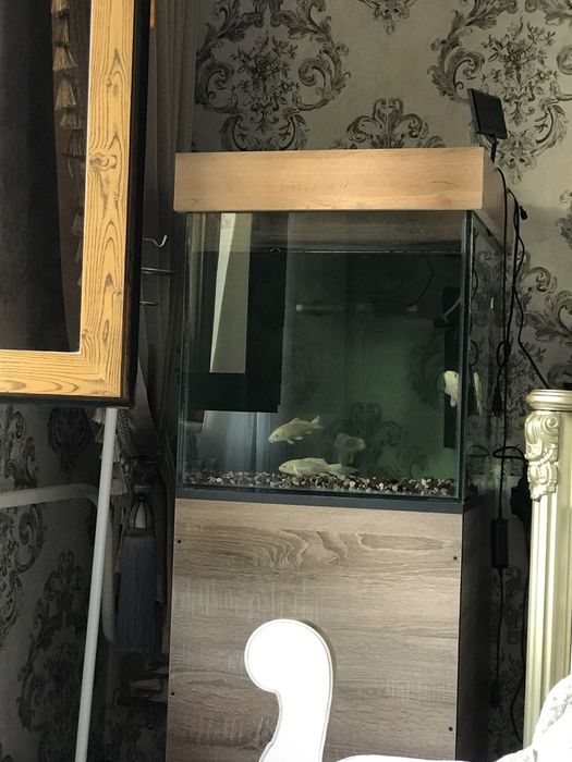 Akvarium sotiladi 120 litr