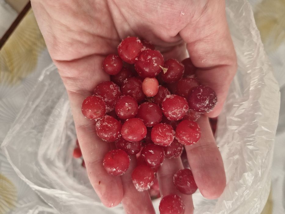Ягоды замороженные